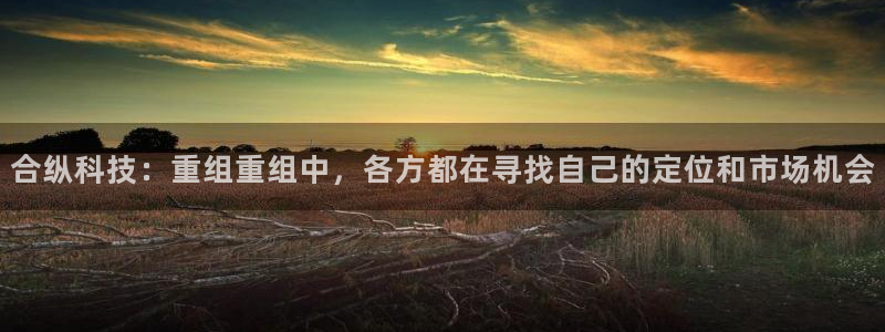 合纵科技：重组重组中，各方都在寻找自己的定位和市场机会