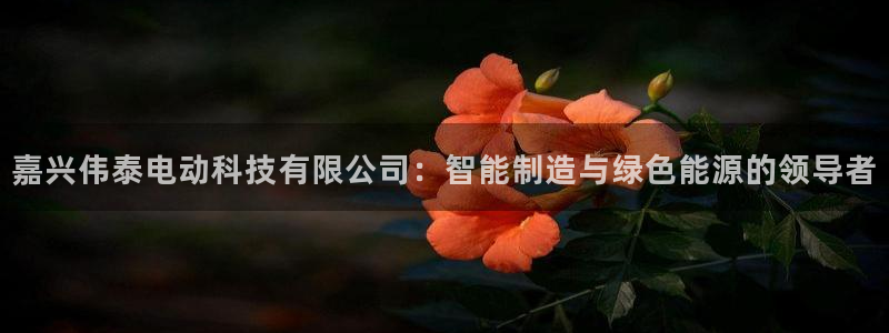 嘉兴伟泰电动科技有限公司：智能制造与绿色能源的领导者